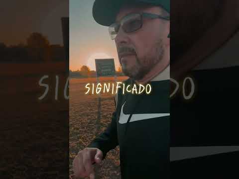 Un gato que sueña con ser un León, debe perder el apetito por las ratas #runner #motivacion #shorts