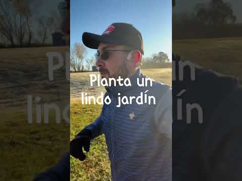 #shorts #shortvideo #motivacion #inspiración #crecimientopersonal #frasesinspiradoras #viralvideo