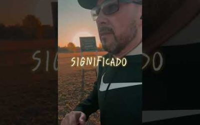 Un gato que sueña con ser un León, debe perder el apetito por las ratas #runner #motivacion #shorts