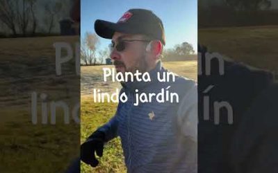 #shorts #shortvideo #motivacion #inspiración #crecimientopersonal #frasesinspiradoras #viralvideo